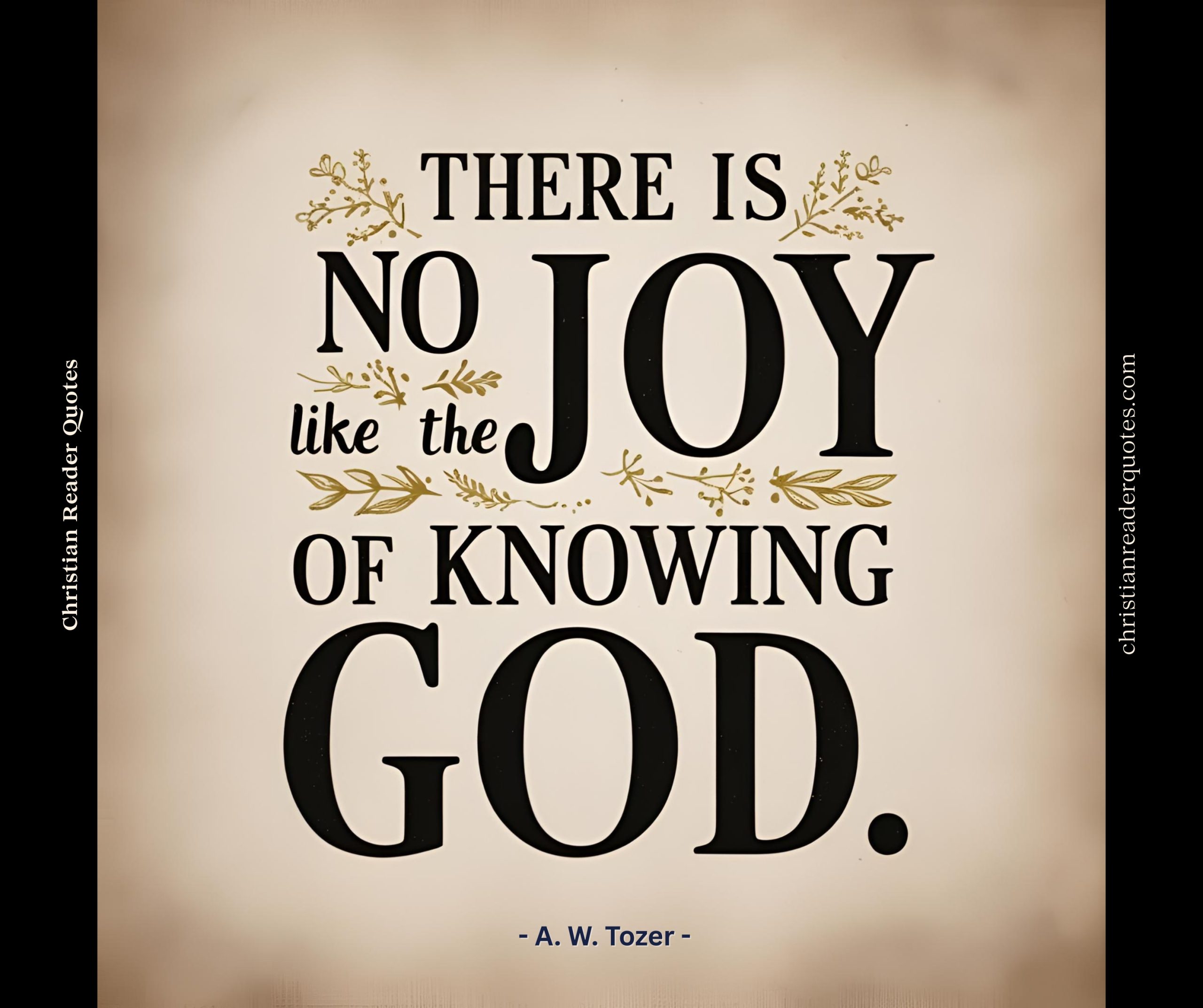 no-joy-like